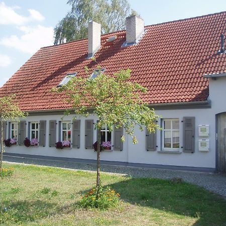 Die Alte Stadtmuehle Von Kloster Zinna Jüterbog Eksteriør billede
